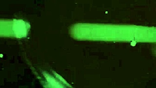 Discovering Hidden Vintage Mermaids in Secret Life Tales