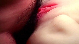 Dick in Pussy Action