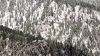 BBW Asian Randi Saas Craves Big Cock Deepthroat