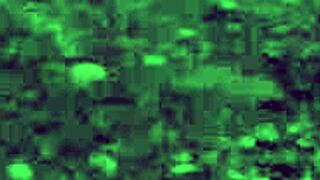 Free sadomasochism videos of cunt fucking