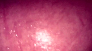 I brought a tourist to my hostel and we ended up fucking in the bathroom