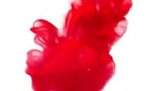 Enjoying a relaxing motel stay with a charming black companion