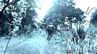 Vietnam Passion War Veterans Forbidden Encounter