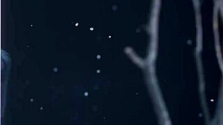 Naughty Hotel Mistress Drinks Big Black Intruder's Sweet Juice