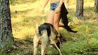 dark lantern entertainment presents beauty and the beast 😈