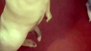 Photo Compilation in Various Aspects