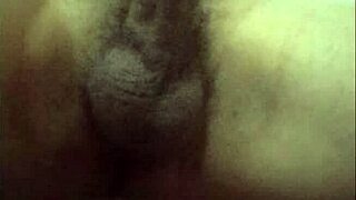 Photo Compilation in Various Aspects