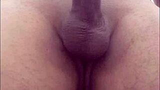 Photo Compilation in Various Aspects