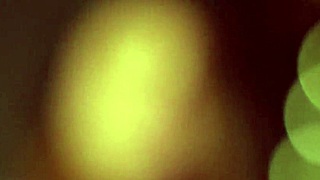 super-sized cleaning lady gets the lesbian owners attention - estella bathory and mischievous kitty