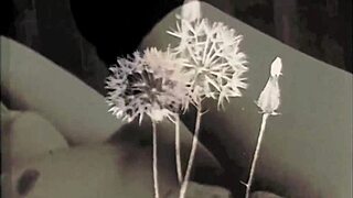 My Secret Life: The World's Greatest Erotic Story in Vintage Silent Movies