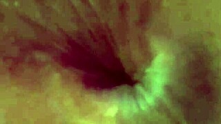 Pretty amateur vibrates her swollen pussy