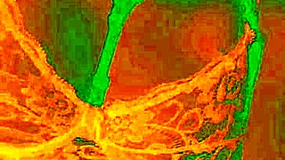 Does the exotic Bluee show horny pleasure while pussy licked?