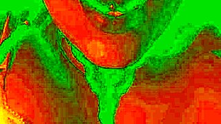 Does the exotic Bluee show horny pleasure while pussy licked?