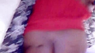 sundaydogood614 update 919 vid 20250329 111807 mar 29 2025