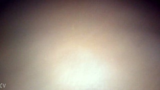 Reverse cowgirl ride