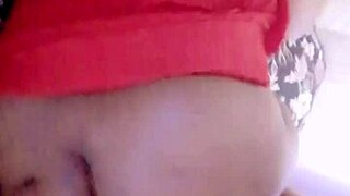 sundaydogood614 update 919 vid 20250329 111807 mar 29 2025