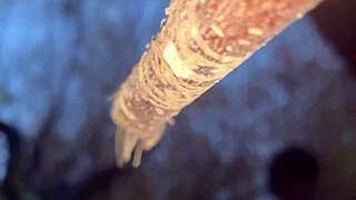 Sex With Real Witch In Woods