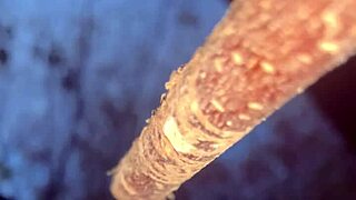 Sex With Real Witch In Woods