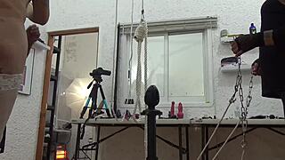 alexandra miret sado 16 transsexual performer