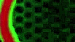 Nice Cap Cowgirl Amara Romani Fucks