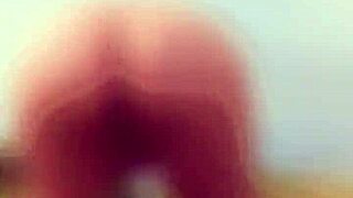 Argentinian curvy wife flaunts natural tits on voyeur campo paseo!