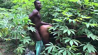 Somewhere in Africa Nigeria Where Farmers Have Serious Knacking