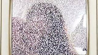 i felt helpless as the hottie got surprised backstage with minnie rose