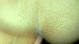 delicious treat with lots of cream in a neutral setting