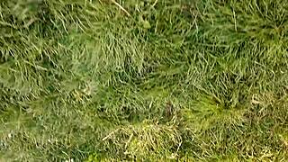 village girl masturbates pussy during lunch break!