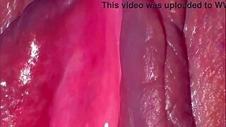 Amateur Pink Pussy After Virginity!