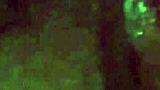 Hot Wet Latina's Creamy Pussy Play Drives Intense Cravings