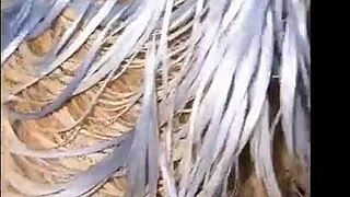 Se Corre A Chorros Mi Suegra Cuando Le Meto Mi Polla Enorme En La Casa De Mi Novia Milf Pussy