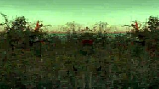 Velma Went To Solve The Mystery With Scooby Doo