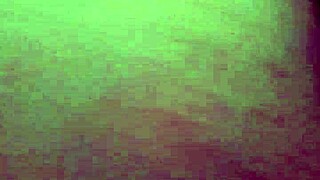 My neighbor's wet pussy is so inviting 🔥