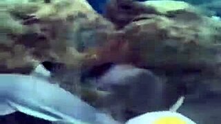 Mexico Trip Recap More Life