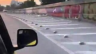 Mexico Trip Recap More Life