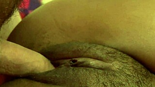 izces divine bends over for stepbro fucking