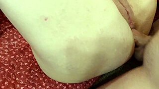 creampie pussy and anal creampie