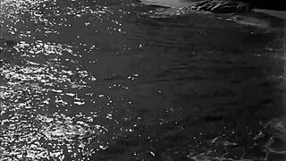 Vintage Erotic Drawings Featuring Detailed Depictions of Hairy Beavers and Retro Pussy Scenes