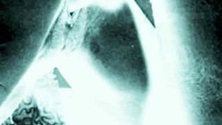 Vintage Erotic Drawings Featuring Detailed Depictions of Hairy Beavers and Retro Pussy Scenes