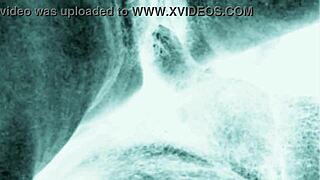 Vintage Erotic Drawings Featuring Detailed Depictions of Hairy Beavers and Retro Pussy Scenes