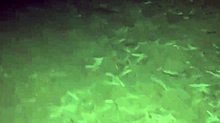 Indian college girl jungle fuck during exam