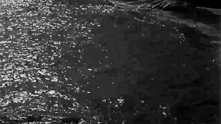 Vintage Erotic Drawings Featuring Detailed Depictions of Hairy Beavers and Retro Pussy Scenes