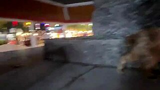 Crazy Cat Lady Feeding Stray Cats in Thailand