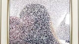 minnie rose's face blasted with cum after blowjob