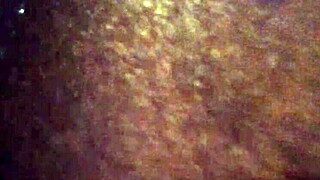 What do you think of this ebony ass?