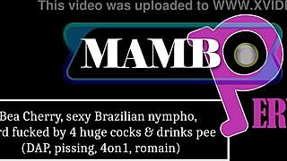 bea cherry brazilian nympho hard fucked by 4 huge cocks!