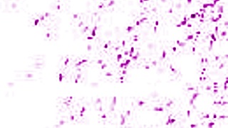 horny georgia jones licks sinn sage's hairy muff until orgasm