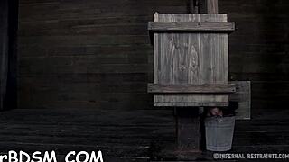 Want free sadomasochism sex stories?