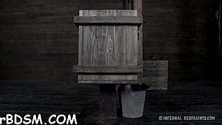 Want free sadomasochism sex stories?